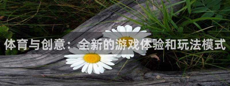 体育与创意：全新的游戏体验和玩法模式