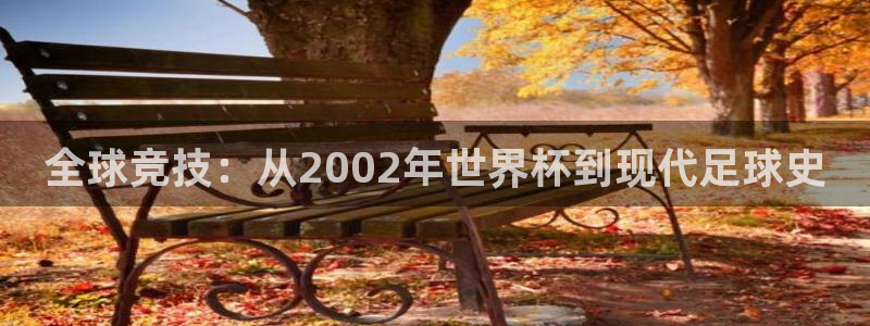 全球竞技：从2002年世界杯到现代足球史