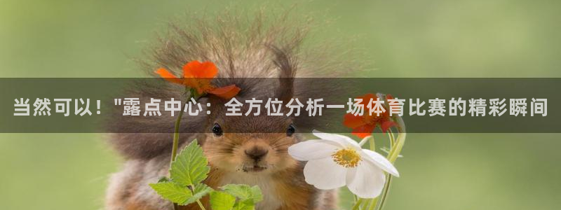 当然可以！\