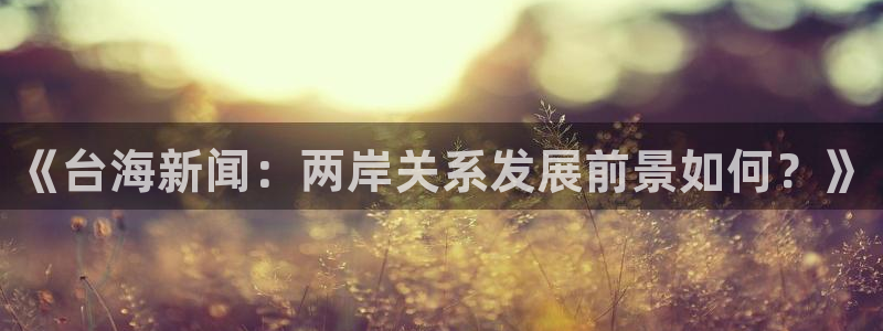 《台海新闻：两岸关系发展前景如何？》