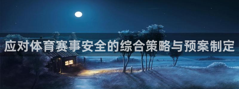 应对体育赛事安全的综合策略与预案制定