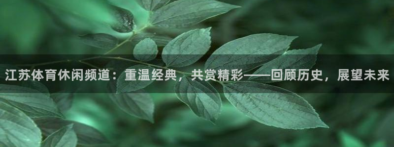 江苏体育休闲频道：重温经典，共赏精彩——回顾历史，展望未来