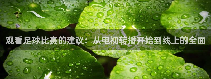 观看足球比赛的建议：从电视转播开始到线上的全面