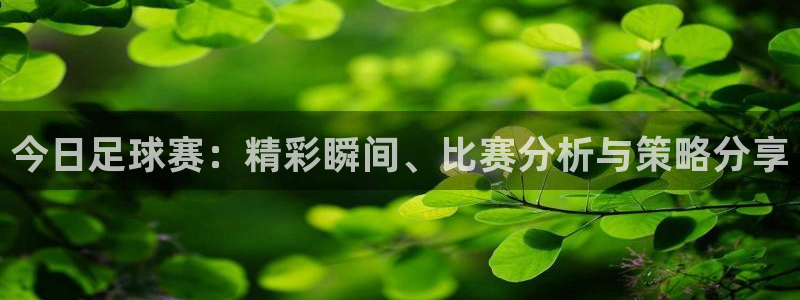 今日足球赛：精彩瞬间、比赛分析与策略分享