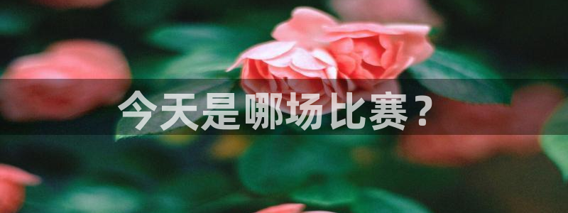 今天是哪场比赛？