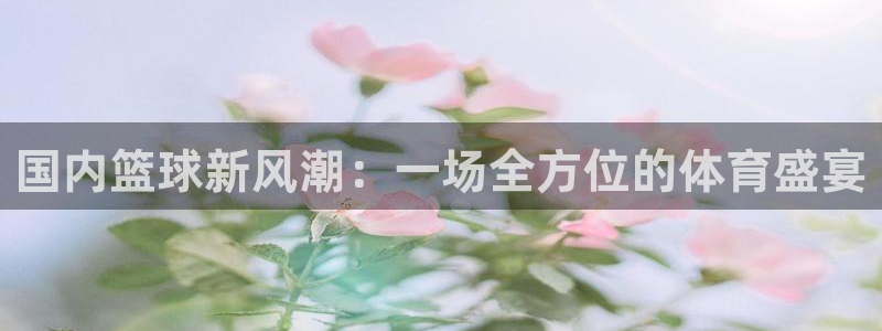 国内篮球新风潮：一场全方位的体育盛宴