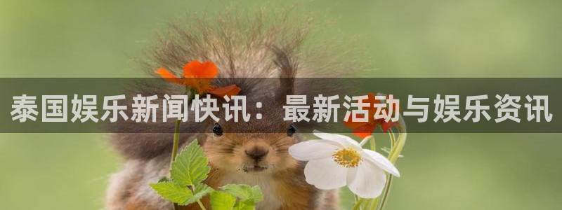 泰国娱乐新闻快讯：最新活动与娱乐资讯