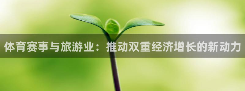 体育赛事与旅游业：推动双重经济增长的新动力