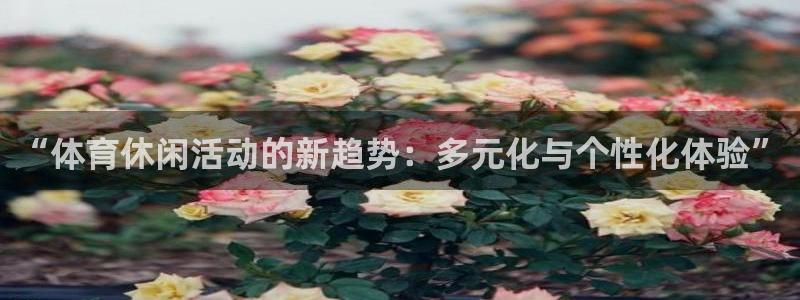 “体育休闲活动的新趋势：多元化与个性化体验”
