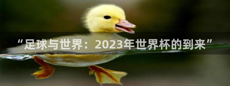 “足球与世界：2023年世界杯的到来”