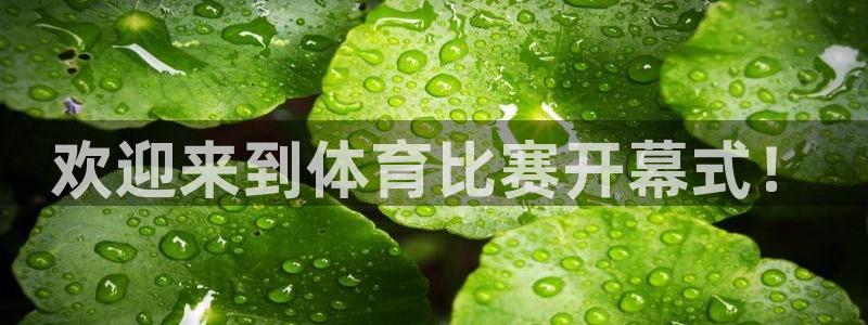 欢迎来到体育比赛开幕式！