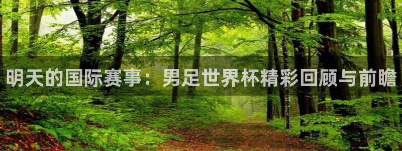 明天的国际赛事：男足世界杯精彩回顾与前瞻